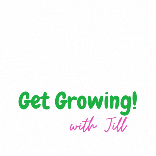Get Growing With Jill ! Pink flowers can popup all over!
