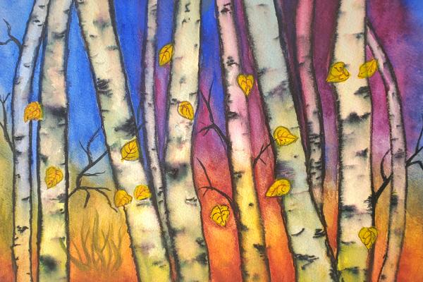 Aspen Trees