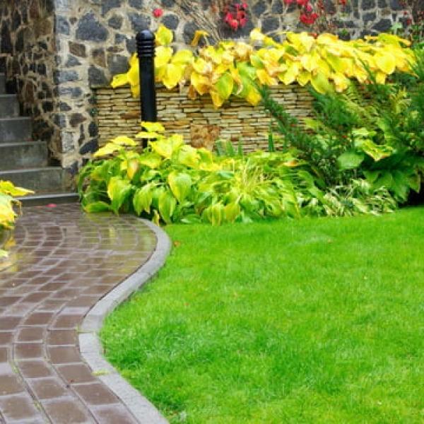 decorative landscaping 