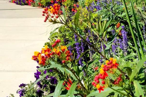 Greenway Station Flowers 